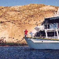 Up close with the Seals