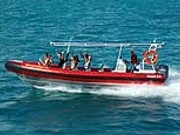 Enjoy the fast rip in the bay or on an extreme seal rocks cruise