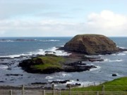 Looking out at the Nobbies and Seal Rock
